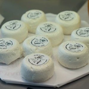 Crottin de Chèvre  - Crottin de Chèvre 