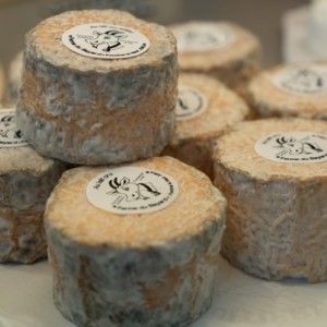 Tomme de Chèvre - Tomme de Chèvre